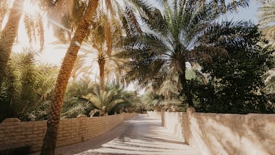 Disney has showcased a visit to Al Ain Oasis, which was inscribed as a Unesco World Heritage Site in 2011. Photo: Adobe