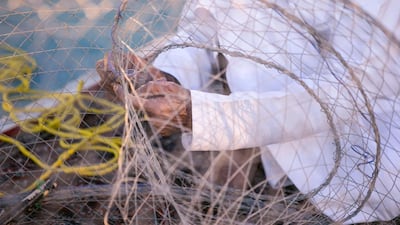 A man prepares a soon-to-be banned gargoor net for fishing. Reem Mohammed / The National