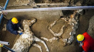 Experts work on horse skeletons in an ancient stable during excavations in Pompeii, near Naples, Italy, 23 December 2018. EPA