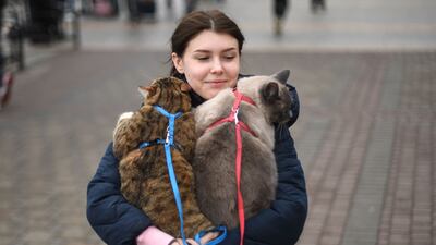 A woman carries her cats in a quest for a safe haven. AFP
