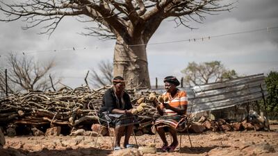 Baobab fruits harvesters Annah Muvhali, 55, (L) and Cristina Ndou hold baobab fruits they harvested AFP