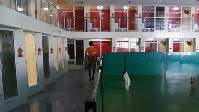 Kennels and pet boarding facilities in the UAE usually require a booking of up to four months in advance to leave an animal. Delores Johnson / The National