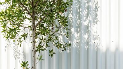 81 Designs recreation of eL Seed's 'Open Your Heart'