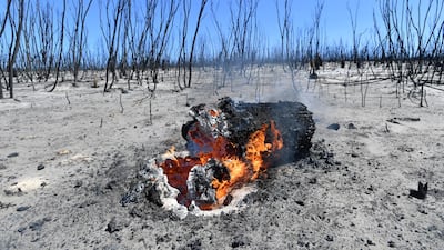 The fire damage at Flinders Chase National Park after bushfires swept through Kangaroo Island, Australia. EPA