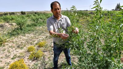 December 10 will focus on how to fix this, from scaling up regenerative agriculture and water-food systems that support habitat restoration and conservation and increase food security, to implementing stronger, fairer integrated governance between states and corporations, farmers and producers. AFP