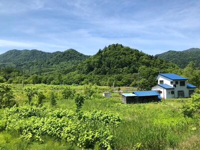 Hoheikyo onsen has hot indoor and outdoor baths surrounded by lush forest. Courtesy Declan McVeigh