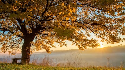 The September Equinox will take place on Monday, September 23. Getty