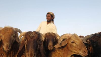 A vendor displays sheep for sale, to be slaughtered during the Eid Al Adha holiday, at a market in Riyadh. Faisal Al Nasser/Reuters