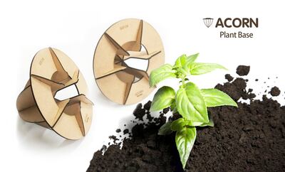 Acorn, a biodegradable base that helps improve the quality of desert soil. Courtesy Zhang Liye, Jiang Ximing, Xie Zihan, Yan Xucheng, Zhang Jiaqing
