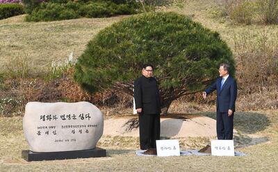 Kim Jong-un, left, and Moon Jae-n, the two Korean leaders participate in a tree-planting ceremony. Korea Summit Press Pool / Korea Summit Press Pool