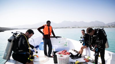 Is it expected to take at least several years for the benefits of the project to be seen