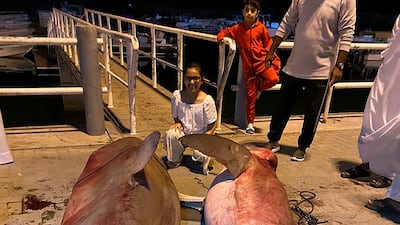 Two of the three bull sharks caught by Mr Suleiman at the weekend. Courtesy: Eid Suleiman