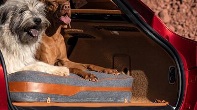 Aston Martin is also catering for pets with this car