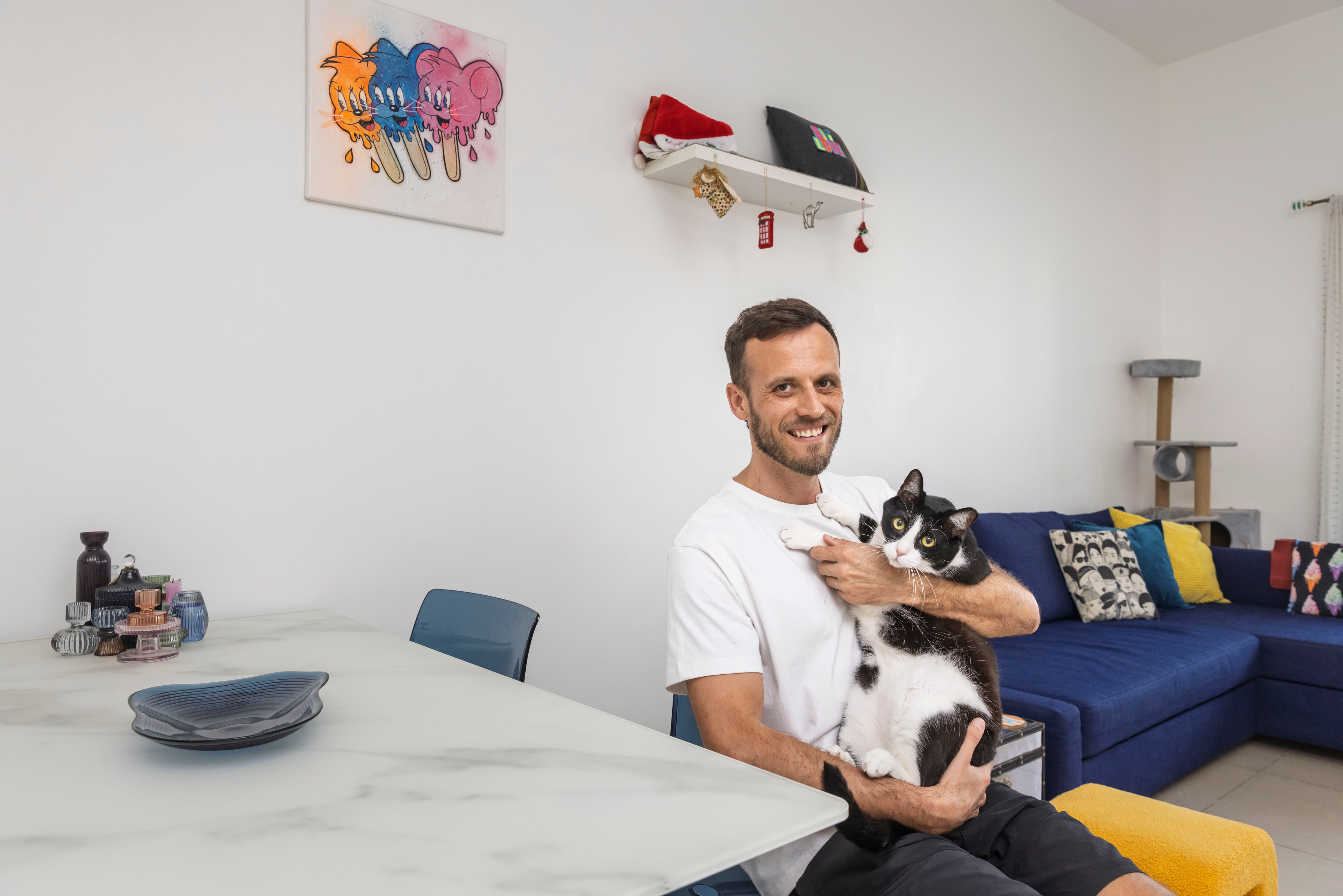 My Dubai Rent: Cat rescuers offer sanctuary in their Dh92,700 a year ...