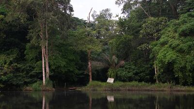 Unesco praised DRC's conservation efforts and the government's commitment to ban prospecting for oil in Salonga, the vast central African country's largest public park