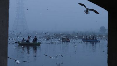 The Yamuna river in Delhi shivers on a cold morning. Reuters