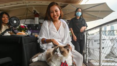 In this picture taken on August 13, 2023 a visitor sitting with her cat on the Royal Albatross, a luxury tall ship that hosts sailing and dining experiences around the waters of Singapore with pets allowed. Cat owners in Singapore can now take their pets on luxury sunset cruises, perfect for pampered kitties who enjoy the finer things in life. (Photo by Roslan RAHMAN / AFP)
