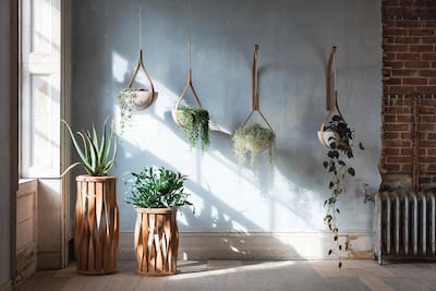 Add indoor plants to your home and workspace tpo boost well-being. Courtesy Tom Raffield