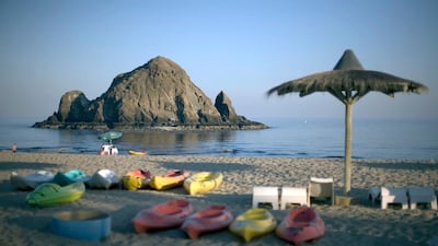 The coral garden will be built off the coast of Fujairah. Jaime Puebla / The National