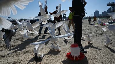 A man feeds doves on a beach on Pingtan Island, the closest point in China to Taiwan’s main island, on the day of Taiwan’s presidential election. AFP