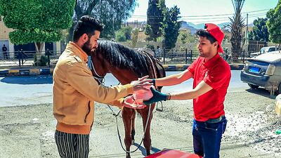 A customer receives a takeaway from the Tawseel food delivery company in Sanaa, Yemen. The difference is that this delivery rider is on horseback. Photo: Tawseel