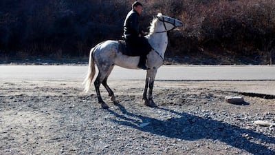 A local man on a horse in Turgen Gorge in the Ili-Alatau National Park, 90km from Almaty.