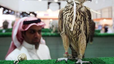 A man looks at the price tags on the falcons. Ravindranath K / The National
