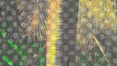 Island by London-based conceptual artist Shezad Dawood. Courtesy Shezad Dawood and Chemould Prescott Road