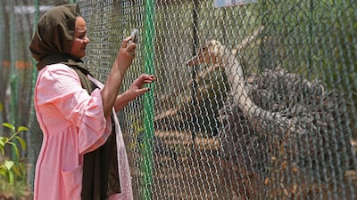 A visitor takes pictures of an ostrich in an enclosure at the centre.