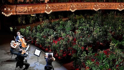 The Uceli Quartet perform for an audience made of plants during a concert created by Spanish artist Eugenio Ampudia. AFP