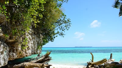 Palau is blessed with rich natural resources. Photo: Pixabay