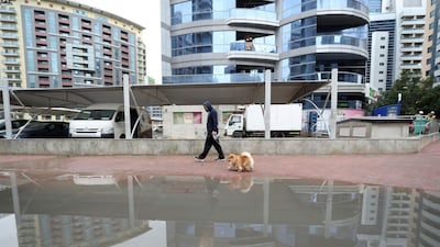 The rain falls in Barsha Heights, Dubai. Chris Whiteoak / The National