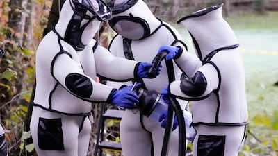 Washington State Department of Agriculture scientists disconnect hoses from a canister after vacuuming Asian giant hornets out of their nest. AP Photo