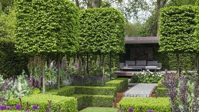 Husqvarna presents Support, The Husqvarna Garden. Designed by Charlie Albone. Sponsored by: Husqvarna. RHS Chelsea Flower Show 2016.