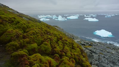 Green Island in the Antarctic Peninsula. PA