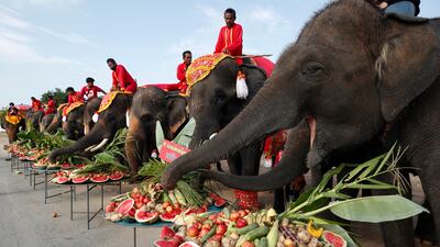 Elephants enjoy various fruits and plants during National Elephant Day at Ayutthaya Elephant Palace and Royal Kraal in Ayutthaya, Thailand. EPA