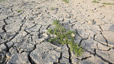 Part of Corsica, the French Mediterranean island, was on drought alert in August. AFP
