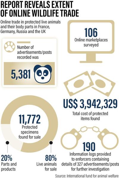 Alvaro Sanmarti / The National