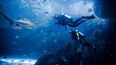 Lauren Lancaster / The National