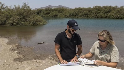 Research scientists John Pereira and Lisa Hebbelmann in the mangroves at Kalba. Antonie Robertson / The National