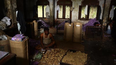 A young labourer looks on as he sits in near darkness packing bidis into colourful conical packets and boxes at The New Sarkar Bidi Factory in Kannauj.
