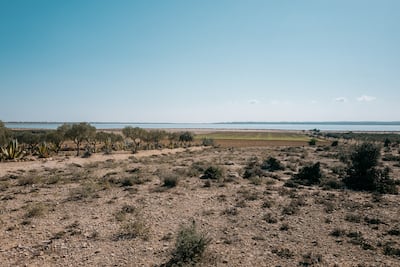 Sebkhet Halk el Menjel in central Tunisia is one of more than 70 wetlands the bird census covers. Farming has encroached on the salt lake, in some places running right to its shore. The National / Erin Clare Brown