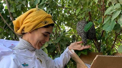 Dr Hammal moves a bee swarm after it was discovered on the playground. Photo: Terra / Expo City Dubai