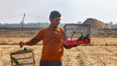 A young Palestinian carries cages of trapped rose-ringed parakeets, near the border fence with Israel, to be sold at the Khan Yunis bird market in the southern Gaza Strip.