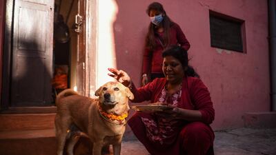 A Hindu devotee worships a dog as part of offerings for the Tihar festival, which is the local name for Diwali, the Hindu festival of lights, in Kathmandu on November 14, 2020. / AFP / PRAKASH MATHEMA