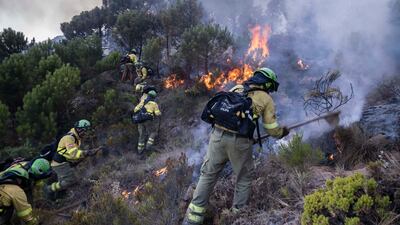 Firefighters work to put out a wildfire near the town of Jubrique, in province of Malaga, Spain. AP Photo