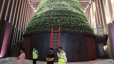 Inside view of the Netherlands Pavilion at the Expo 2020 Dubai site where architects built a biotope in which edible plants thrived - the material will be reused and recycled by companies across the city. Pawan Singh / The National