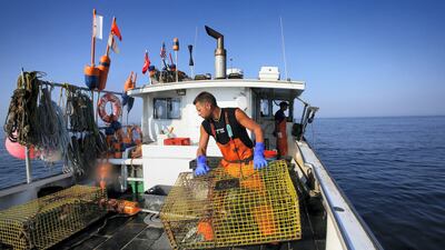 Lobsters are big business in Maine and the north-eastern US state has long been famed for its connection to the tasty crustacean. Reuters
