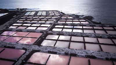 A picture shows salt pans at the Salinas de Fuencaliente, south of the island of Las Palmas, Las Salinas de Fuencaliente is an exploitation of 35,000 square metres of high quality sea salt near the Teneguia volcano range. AFP