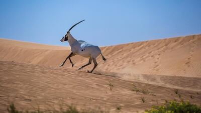 “We wanted a clean environment and the reserve was the only place that had that.”